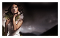 手机号轰在线轰炸免费下载